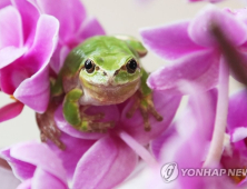 [오늘 날씨] 아침 최저 기온 영하 6도…꽃샘추위 시작
