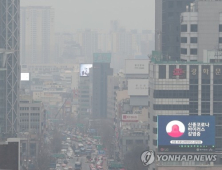 OECD “한국 인구 55%, ‘WHO 권고 2배’ 초미세먼지 노출”