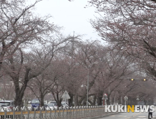 야속한 코로나19…전북지자체들 봄 축제 어떡하나