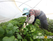 '코로나 뚫은' 경북도 농식품 수출…역대 최대 6억3400만불