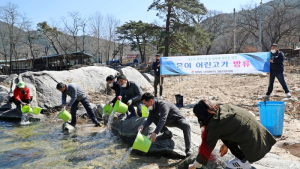 [함양소식]남강천에 은어 치어 2만 마리 방류