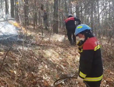 안동시 풍천면 야산에 산불.. 3시간여 만에 불길 잡아