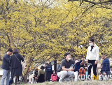 [날씨] 맑고 포근한 화요일…수도권 오전 미세먼지