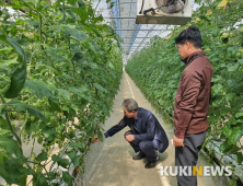 김포시농업기술센터, 매출부진 채소농가 대책 적극 추진