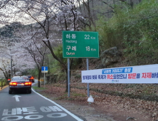 하동군, 화개장터 십리벚꽃길 방역소독 '강화'