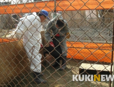 임실군 구제역 차단 총력...4월까지 예방접종