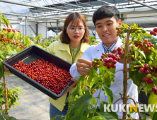 '순창 커피' 들어 보셨나요?