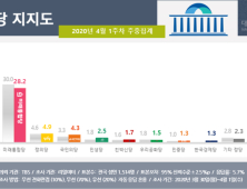 더불어민주당 43%·미래통합당 28.2%…거대 양당, 정당지지율 동반 하락