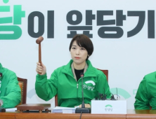 민생당 “불법 성착취물 접근 시 모두 처벌”