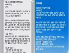 금감원, 코로나 대출 가장한 보이스피싱 '주의' 당부