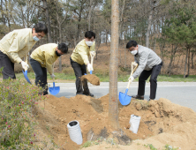 세종시, ‘시민감동과제 2호’ 봄철 가로수 3,500본 식재