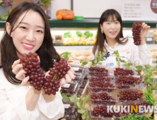 “작은 포도가 달다!” 올해 첫 델라웨어 포도 선보여