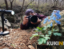 수도권 산들꽃의 보고(寶庫) ‘천마산’