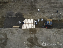 참혹한 뉴욕, 하트섬 무연고자 묘지 집단매장… 비참한 모습 공개