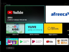 스카이라이프서 아프리카TV와 V라이브도 본다