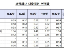 작년 보험사 대출채권 잔액 234조 전년比 5%↑...“코로나 불안정성 증가”