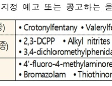 ‘크로토닐펜타닐’ 등 남용 가능 있는 약물 임시마약류 지정