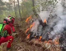 강풍에...안동 산불 되살아나