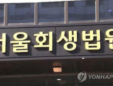 회생법원, 코로나19 여파로 빚 못갚은 채무자에 회생기준 완화키로
