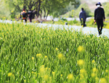 [날씨] 수요일 전국 맑음…서울·경기 오전 미세먼지