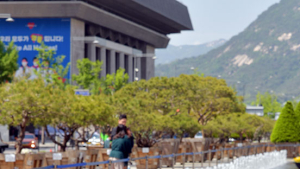 '눈으로만 감상해요'