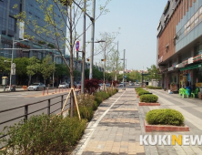 안양시, 평촌대로 등 5곳에 수목 2만1천여 그루 식재