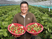 [산청소식] 산청군, 딸기 생산 전문농업인 육성