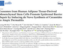 ㈜엑소코바이오, 줄기세포 엑소좀(ASCE)으로 아토피 치료 및 피부 장벽 재생 기전 발표