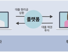 P2P금융 성장세 가파른데…위험성도 같이 커졌다