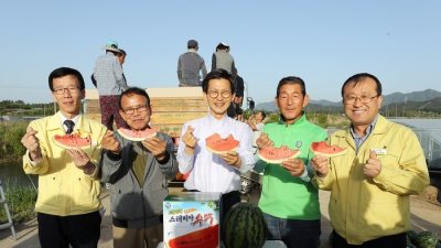 고창수박, 첫 출하...지난해에만 60억원 매출 기록