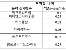 시금치·취나물서 잔류농약 기준 초과