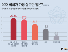 [쿠키뉴스·조원씨앤아이 여론조사] 20대 국회가 가장 잘못한 일은?