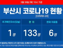 부산 보름 만에 코로나19 추가 확진자 발생···해외 확진자 1명 늘어