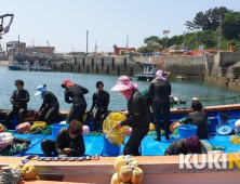 보령시, 도서지역 해녀 안전 위한 해녀복 등 잠수장비 지원