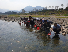 산청군, 외래어종 베스 잡는 뱀장어 치어 방류