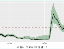 수도권 코로나19 불길 어쩌나...감염 토착화 우려