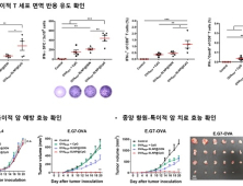 카이스트, 항암 나노백신- 면역치료 최적화 신기술 개발