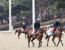 한국마사회, 19일부터 '무고객 경마' 시행...서울·부산경남·제주