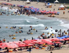 해수욕장 방역 실효성 묻자 “참고 상황 없어… 수정·보완될 것”