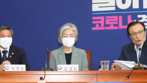 민주당, 장관 참석자리서 대북대응 질타…한미워킹그룹 축소도 제기