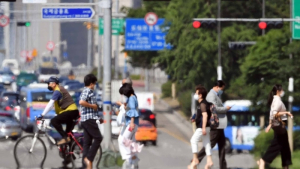 폭염주의보 속, 아스팔트도 부글부글