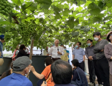 김천시 고품질 샤인머스캣 생산위한 포도대학 현장교육 실시