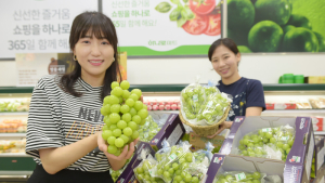 농협유통 하나로마트, 망고 포도라 불리는 ‘샤인머스캣’ 첫 선