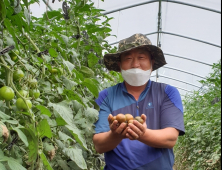 [농업이 미래다] (4) 대전영농조합법인 한밭뜰, 농산물 꾸러미 배송