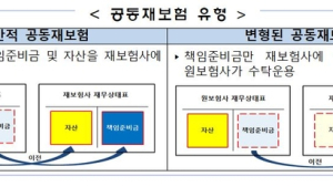 보험사, 위험성 공동재보험으로 건전성 관리