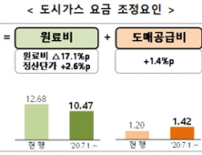 오늘부터 도시가스 요금 평균 13.1% 인하…가구당 夏 2천원, 冬 8천원 절감