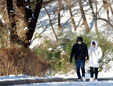 남산 눈길 산책