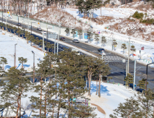 당진시, 밤샘 신속한 제설작업으로 출근길 