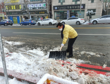 [포토] 박정현 부여군수 등 부여군청 직원들, 제설작업 구슬땀 