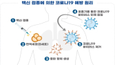 유바이오로직스 코로나 백신 '유코백-19' 1·2상 임상계획 승인